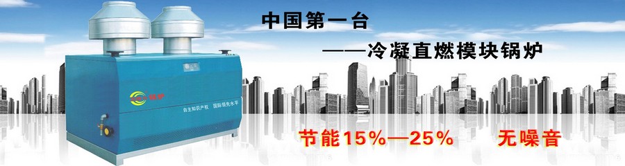 范德力冷凝模块锅炉