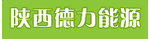 陕西德力能源科技有限责任公司