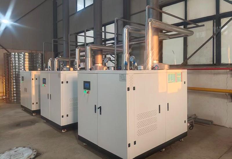 陕西德力能源科技有限责任公司客户冷凝低氮蒸汽发生器案例