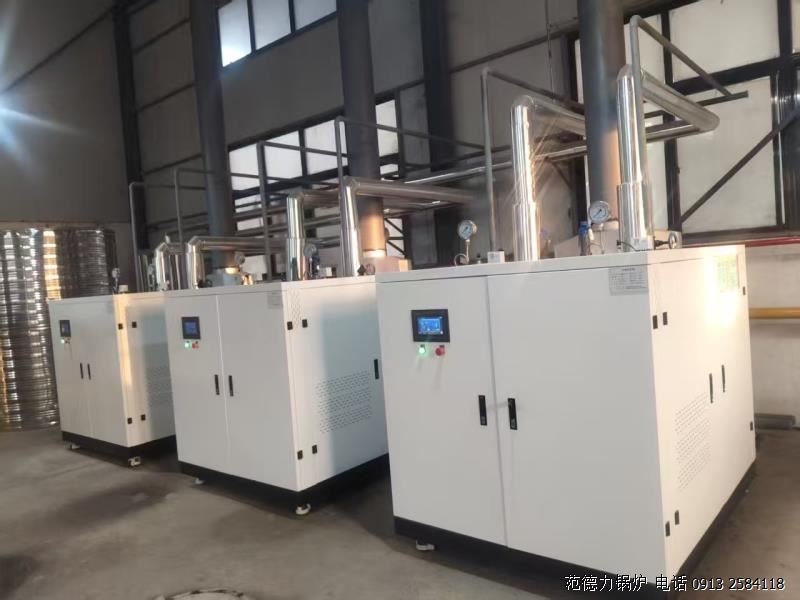 冷凝低氮贯流蒸汽发生器